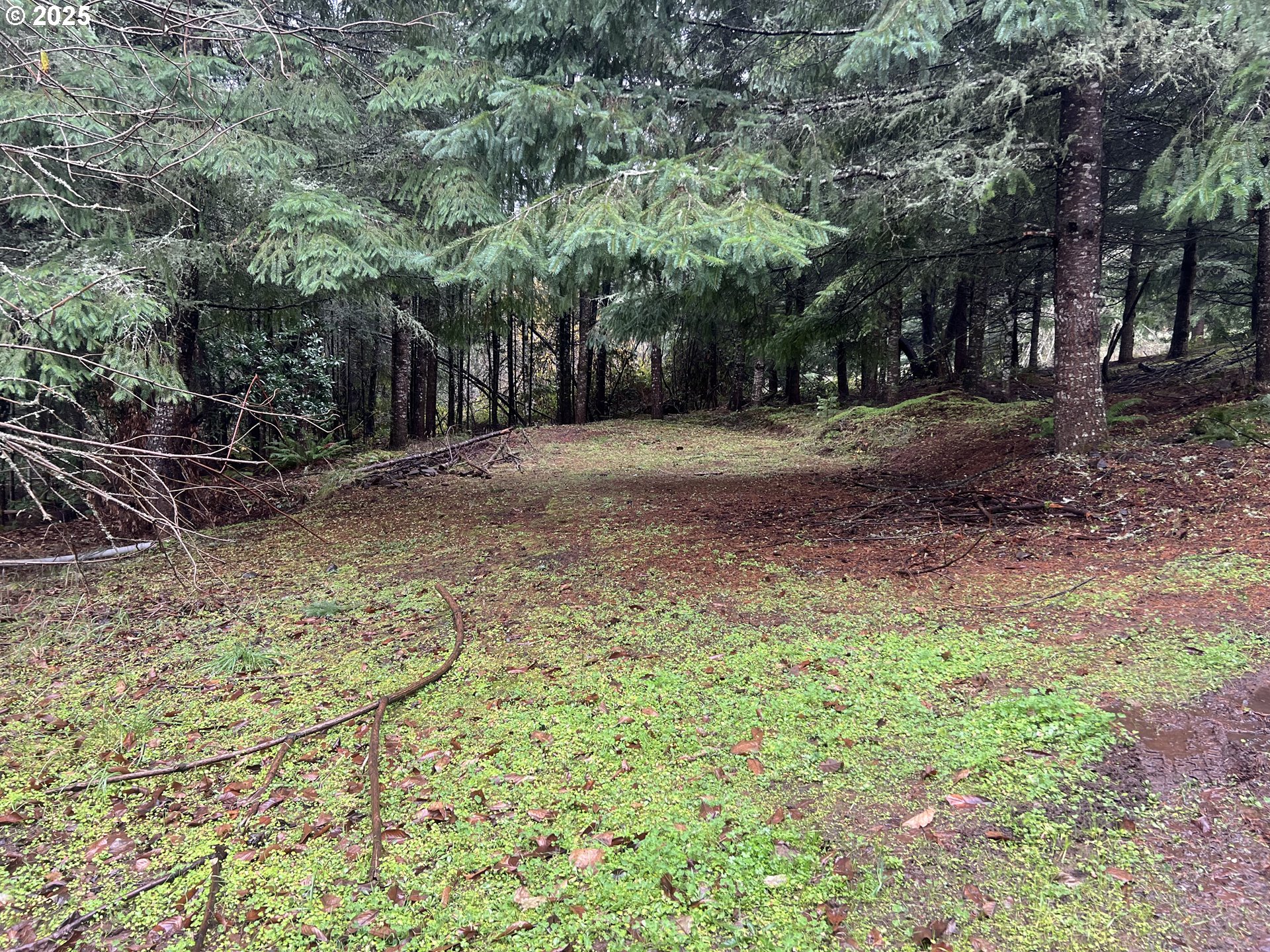 82964 HUNGRY HILL RD