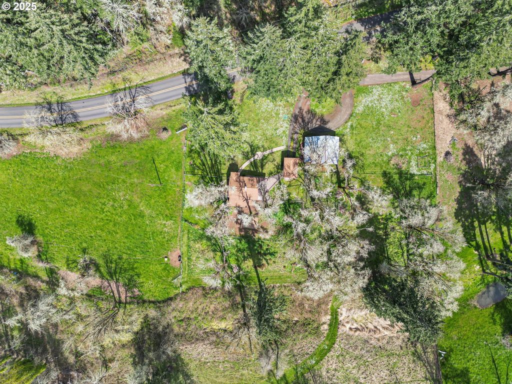 listing image 44