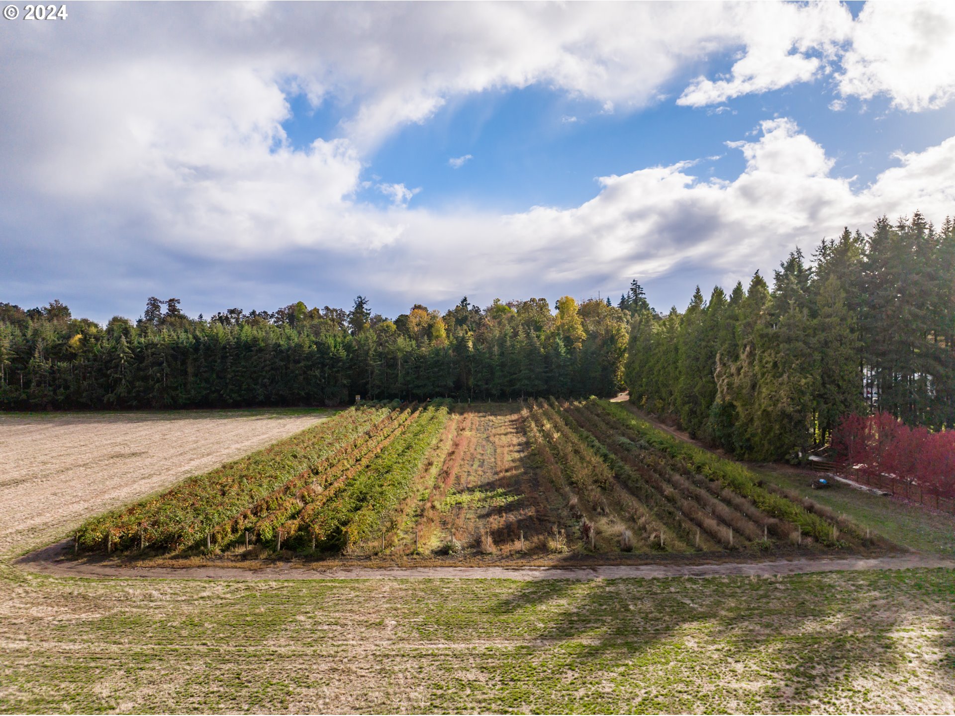 Mt Angel, Oregon 97362, United States, ,Residential,Active,37357