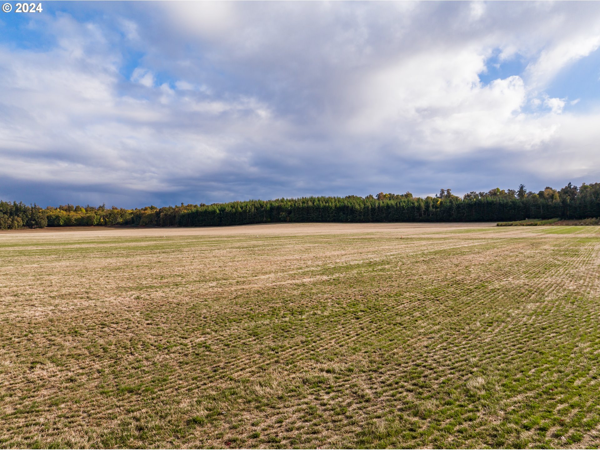 Mt Angel, Oregon 97362, United States, ,Residential,Active,37357