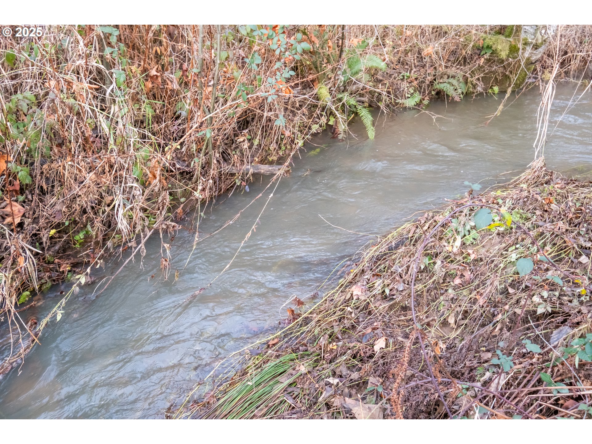 Scotts Mills, Oregon 97375, United States, ,Land,Active,254389