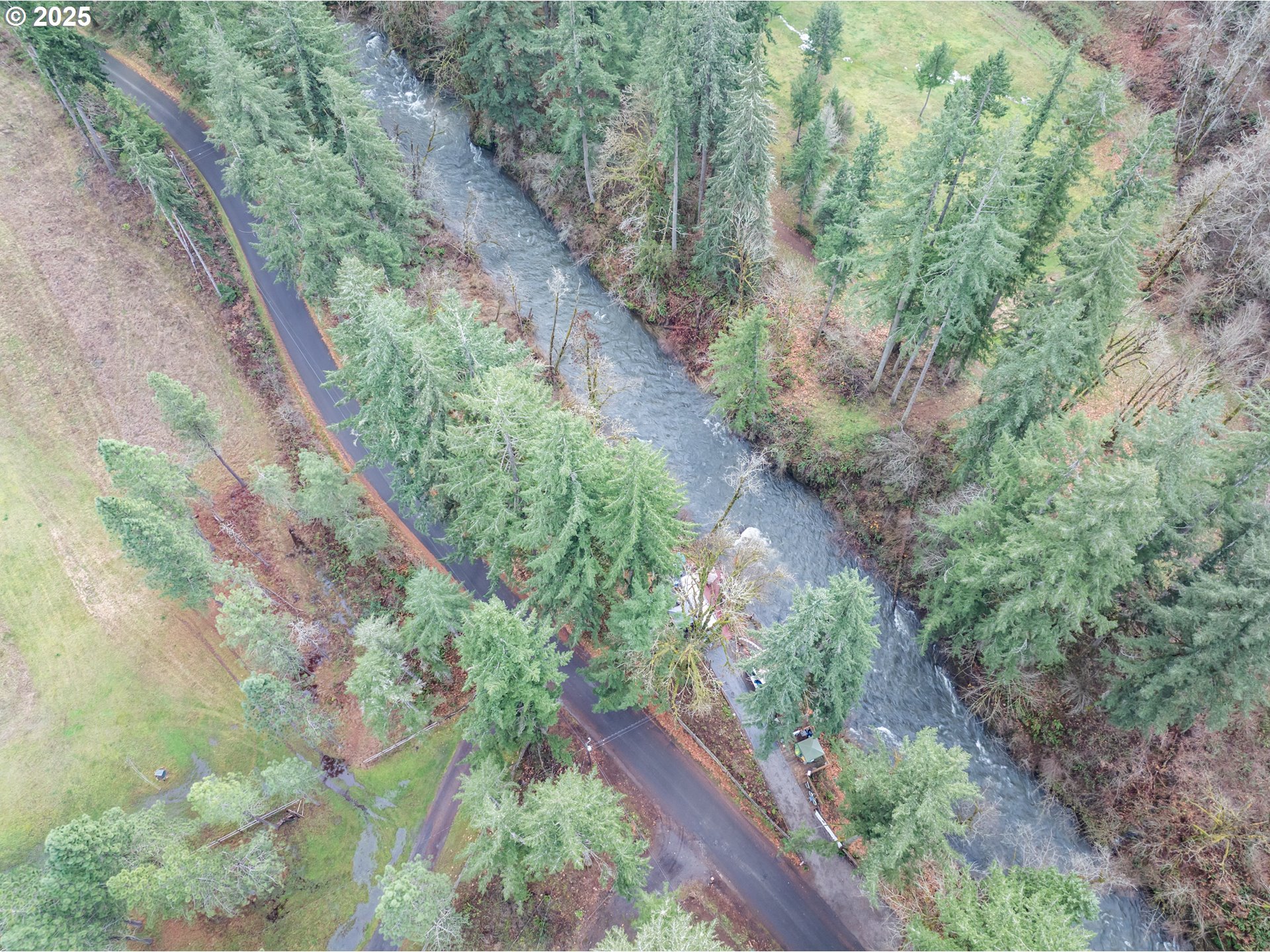 Scotts Mills, Oregon 97375, United States, ,Land,Active,254389