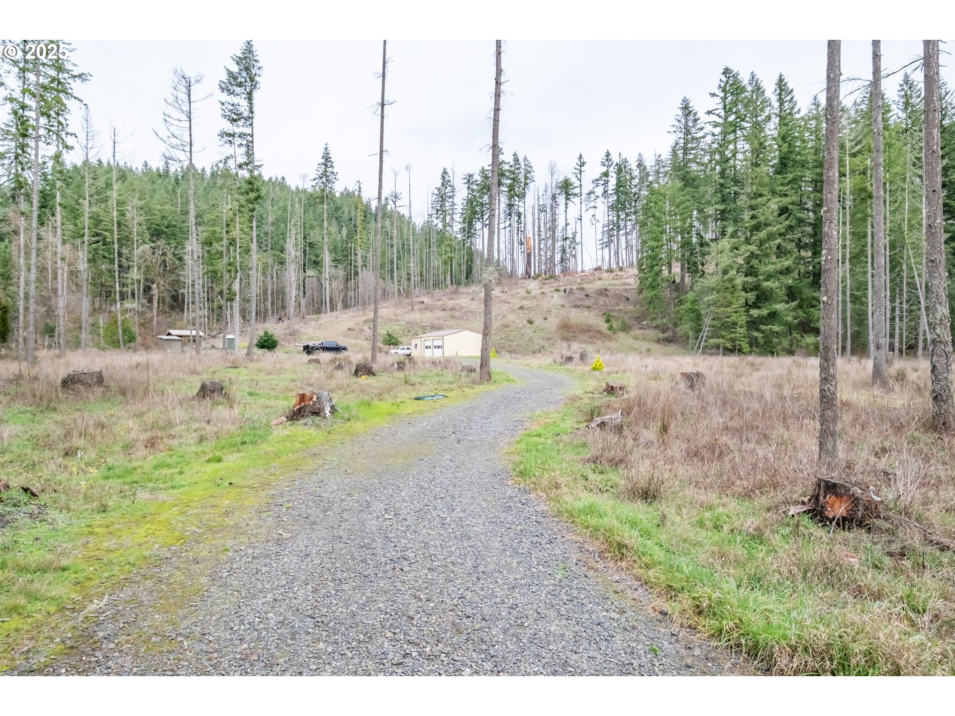 Scotts Mills, Oregon 97375, United States, ,Land,Active,254389