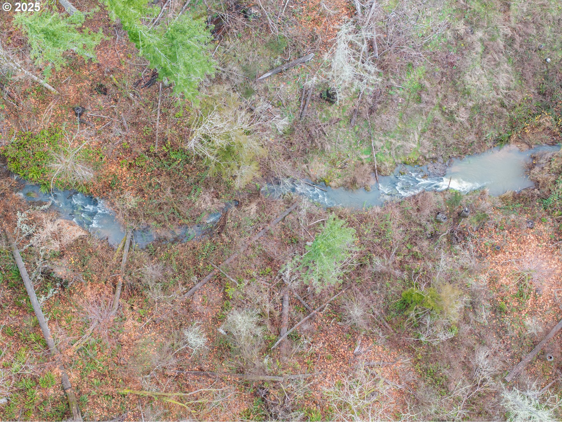 Scotts Mills, Oregon 97375, United States, ,Land,Active,254389