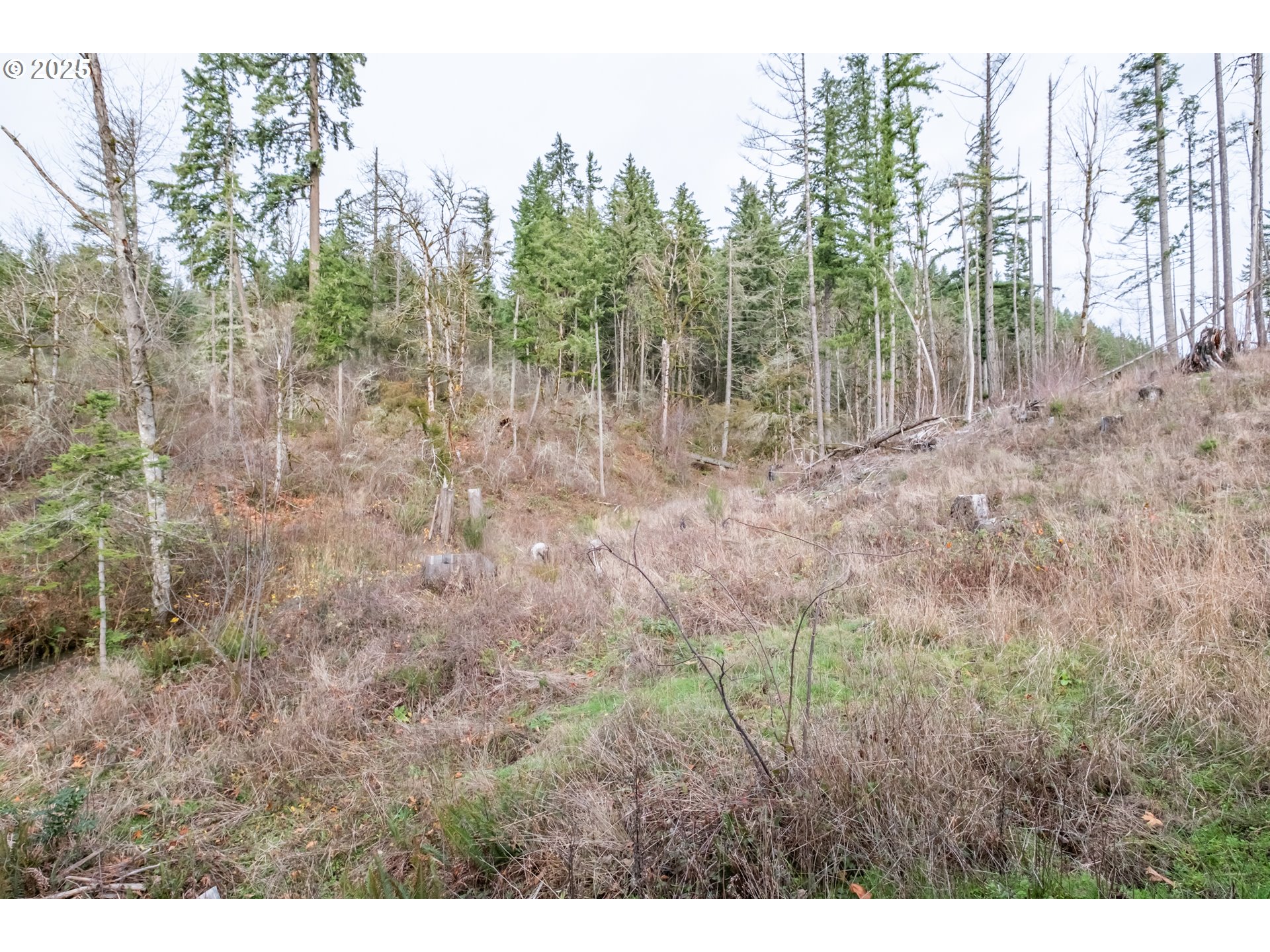 Scotts Mills, Oregon 97375, United States, ,Land,Active,254389