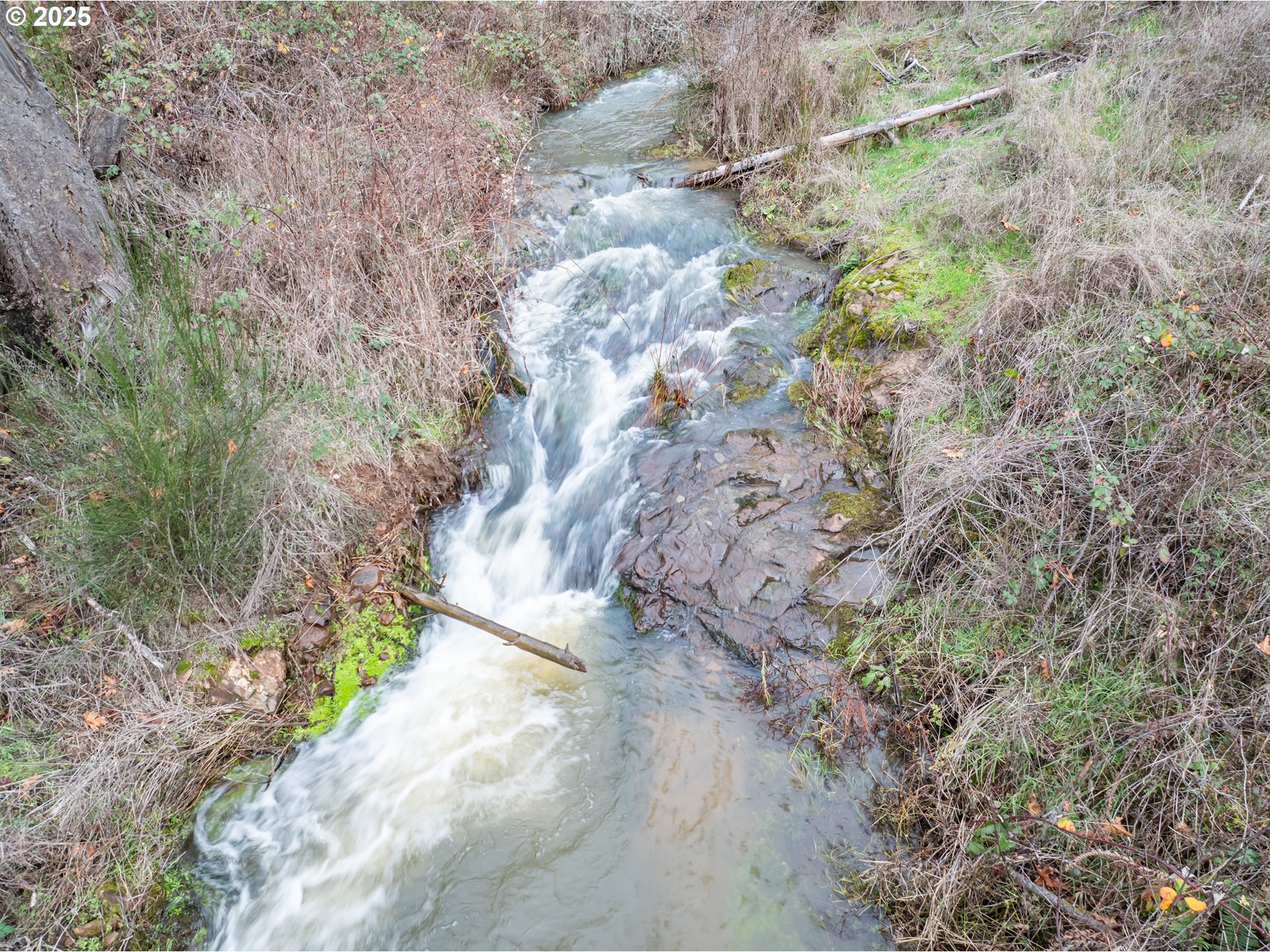 Scotts Mills, Oregon 97375, United States, ,Land,Active,254389