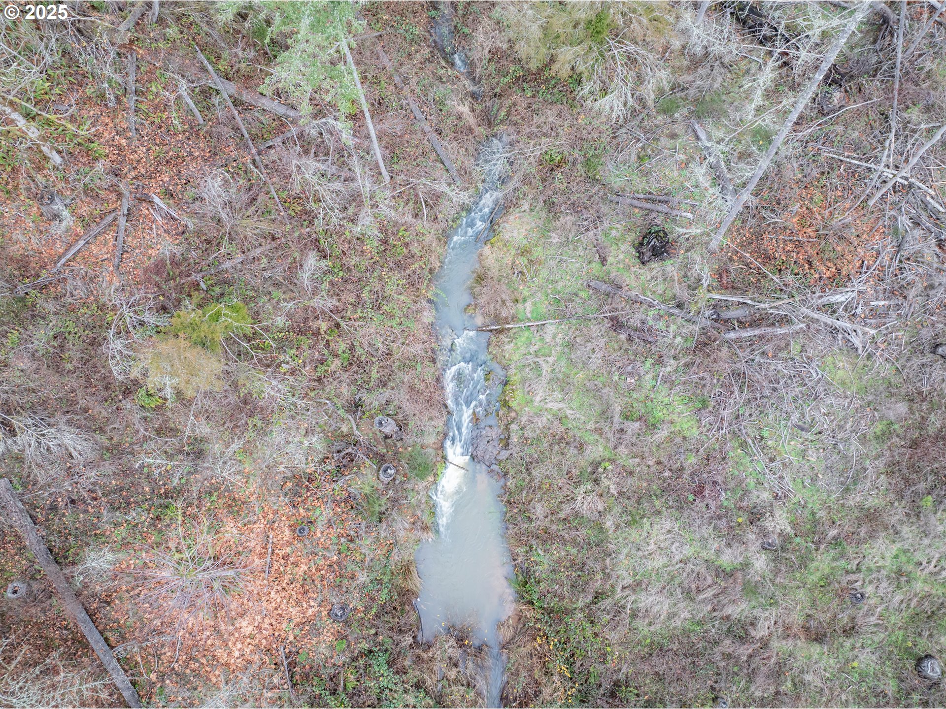 Scotts Mills, Oregon 97375, United States, ,Land,Active,254389