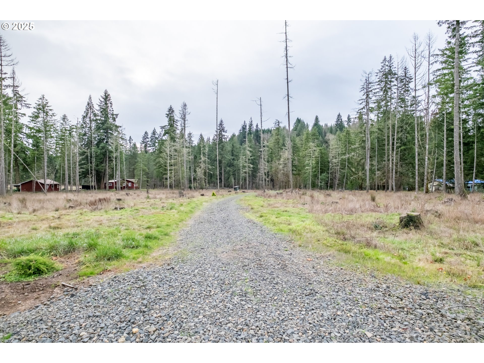 Scotts Mills, Oregon 97375, United States, ,Land,Active,254389