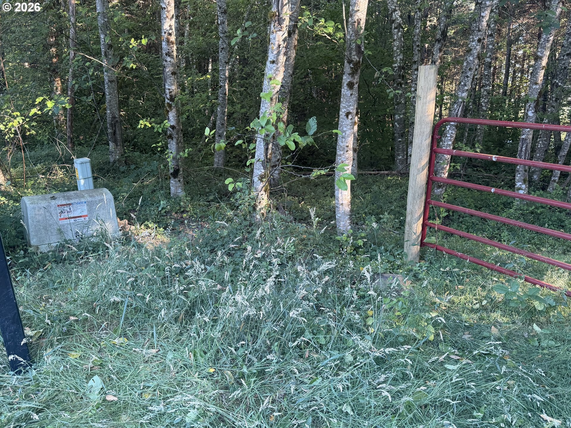 217 HAM RD