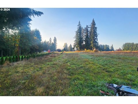 12718 NE 159TH ST 12718 Brush Prairie WA 98606