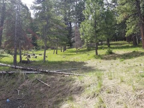 3300 Blake Ranch Lot 33 Heppner OR 97836