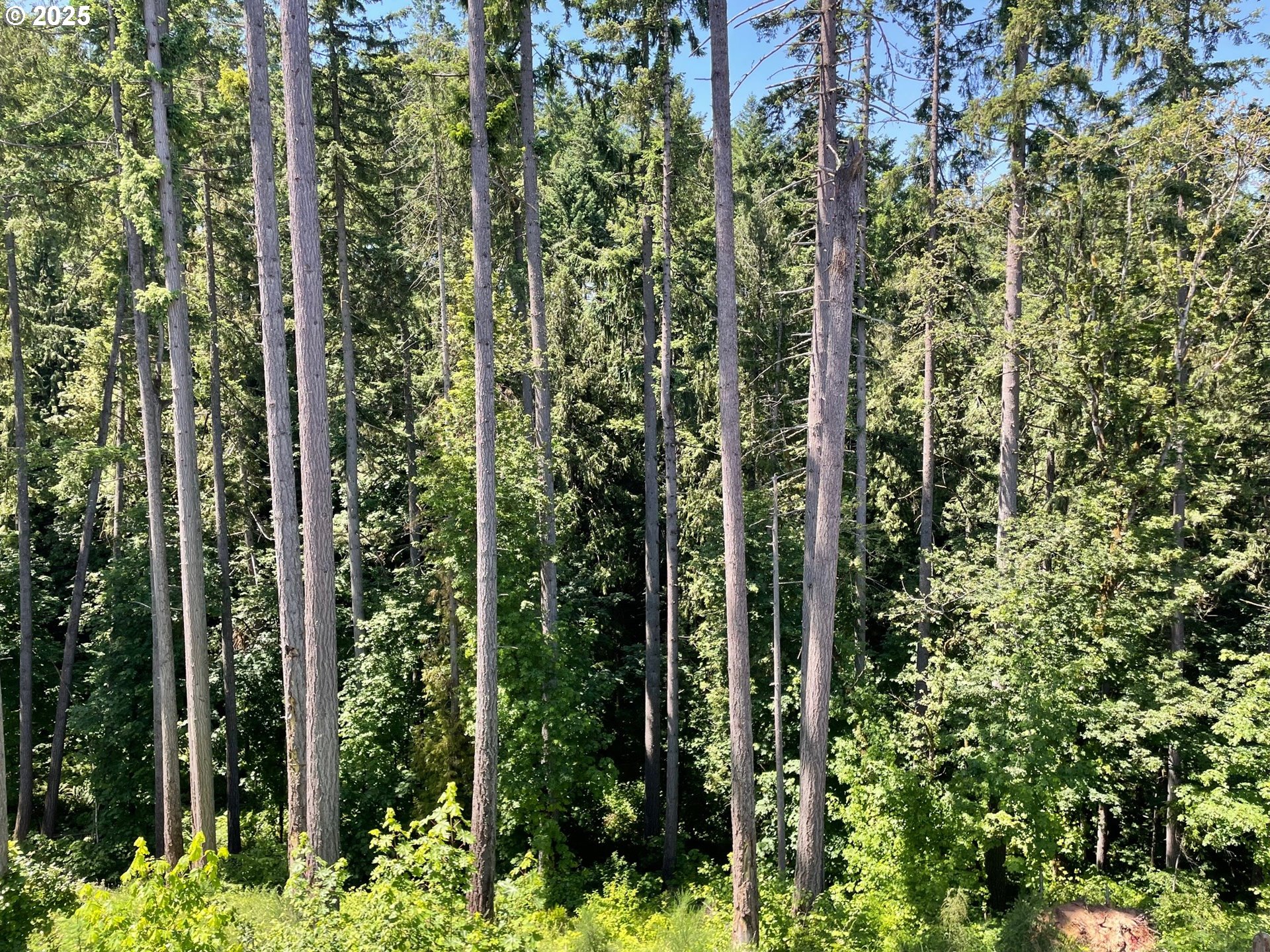 Beaverton, Oregon 97007, United States, 5 Bedrooms Bedrooms, ,4 BathroomsBathrooms,Residential,Active,140405