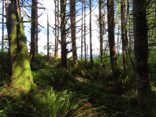 HOCKETT RD, ONALASKA, WA 98570 - Image af4b8c57df56bef61e97a2bfafef12ac/1327455276