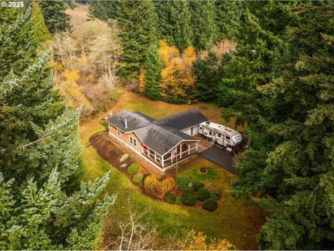 Photo of 29010 NE 63rd Cir, Camas, WA 98607 (MLS # 196290869)