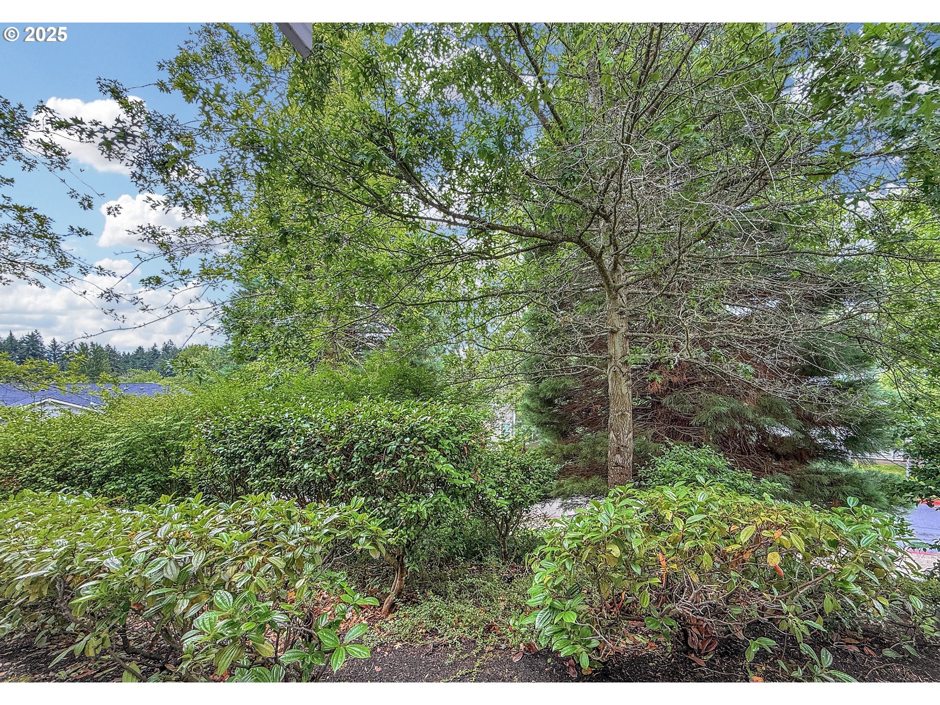 14735 SW BEARD RD 102