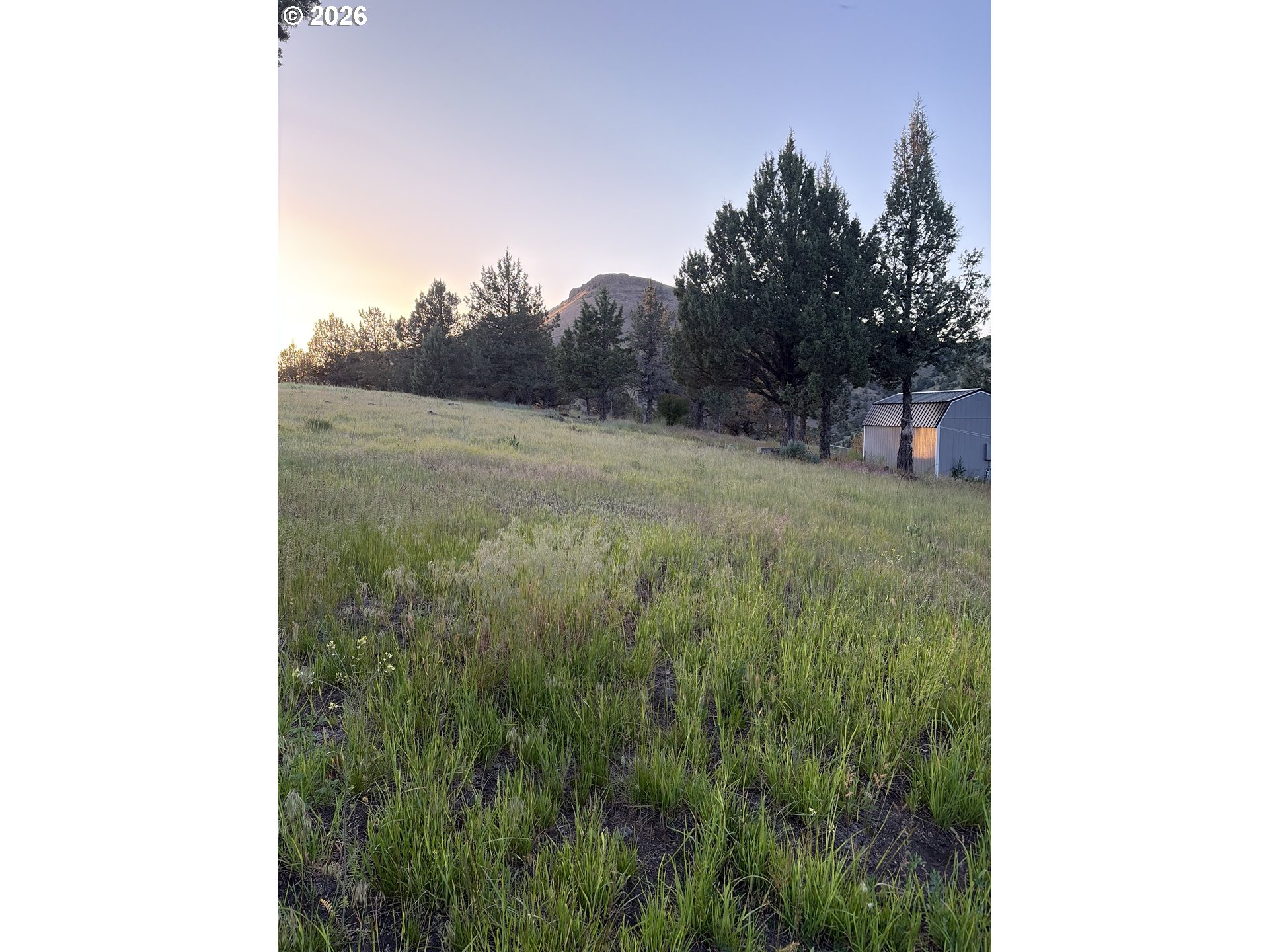 61897 DOG PATCH LN