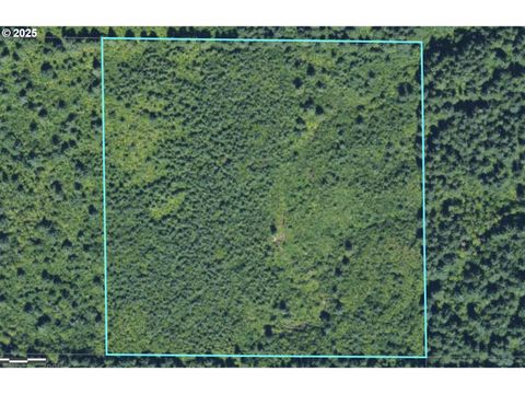 0 TBD Brush Prairie WA 98606