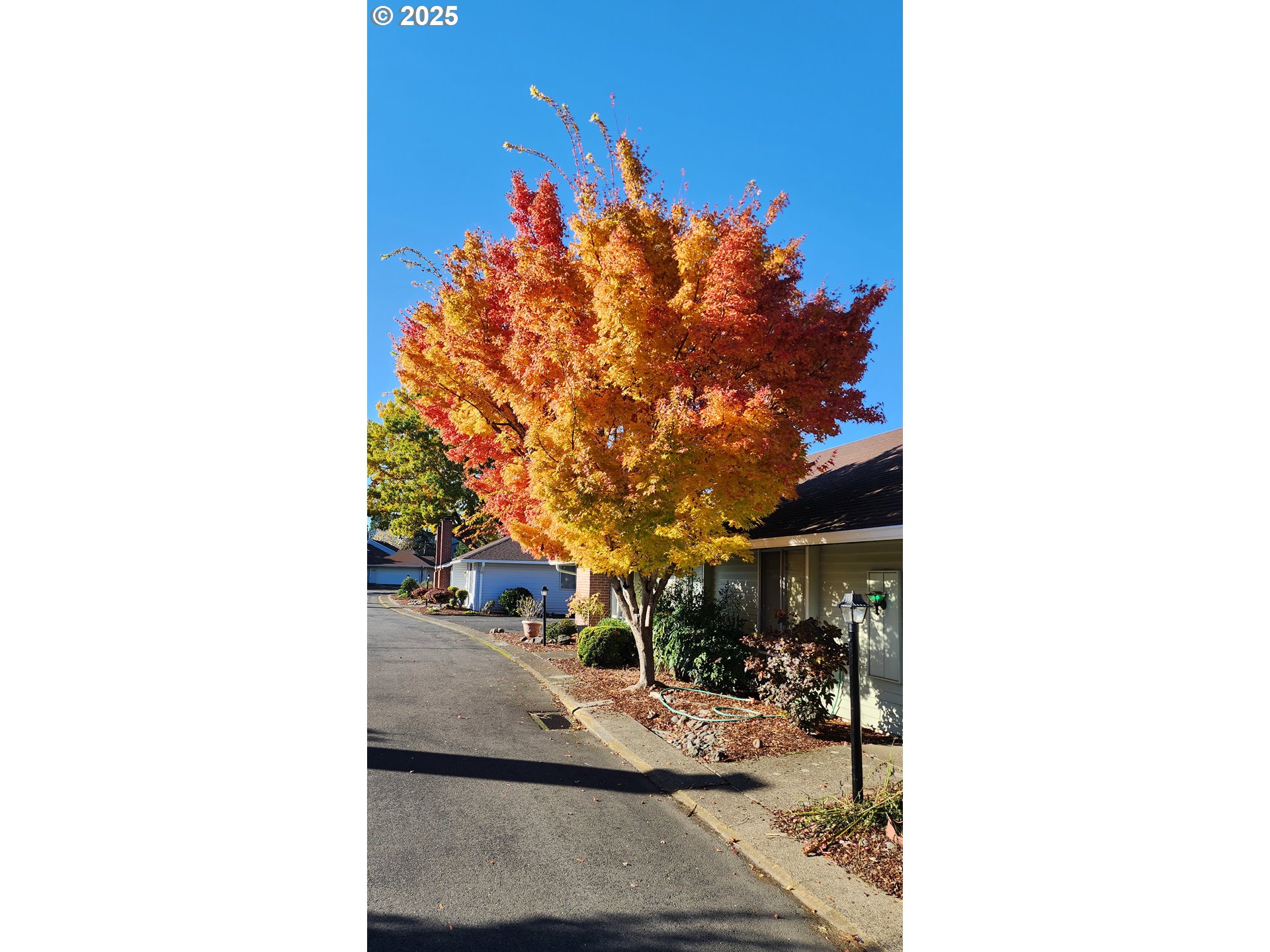 14225 SW ROCKLYNN PL