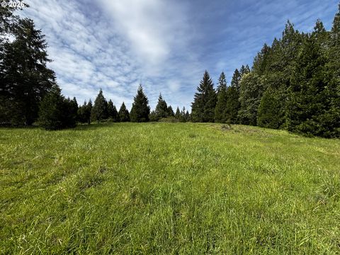 Tiny photo for 48799 Mcfarland Rd, Oakridge, OR 97463 (MLS # 239885713)
