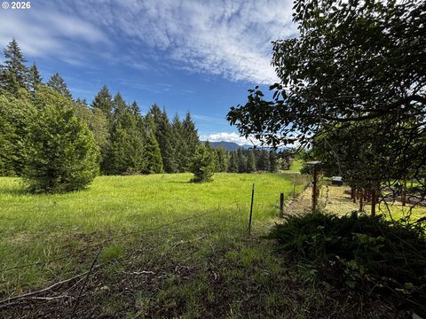 Tiny photo for 48799 Mcfarland Rd, Oakridge, OR 97463 (MLS # 239885713)