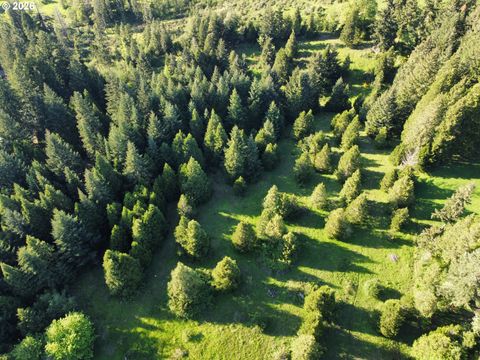 Tiny photo for 48799 Mcfarland Rd, Oakridge, OR 97463 (MLS # 239885713)