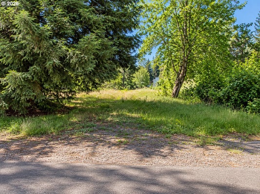 2520 WOOD AVE, EUGENE, OR 97402 - Image b23d6512cdc4d6bf9e4a765a94d4e7ae/2968861200