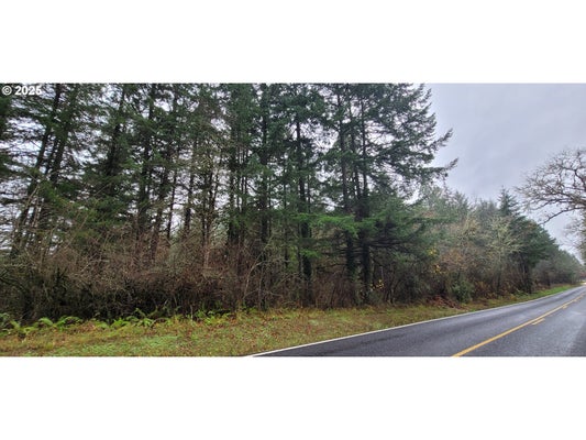 HUSTON RD, VENETA, OR 97487 - Image b23d9d9b9be4fafef849a6bb8c3ffe89/6412473