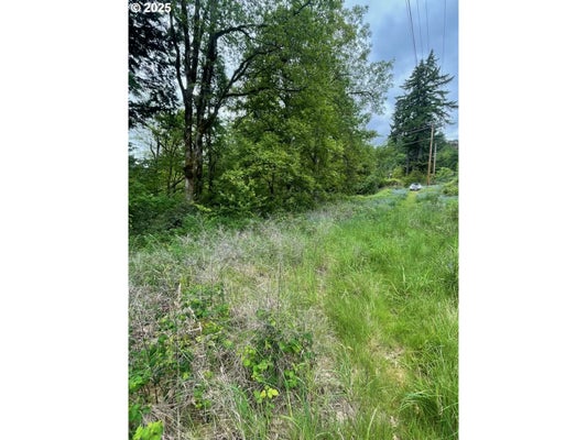 CARSON DEPOT RD, CARSON, WA 98610 - Image b257bc5eb307d220ab2dd841a04412c8/4083015043