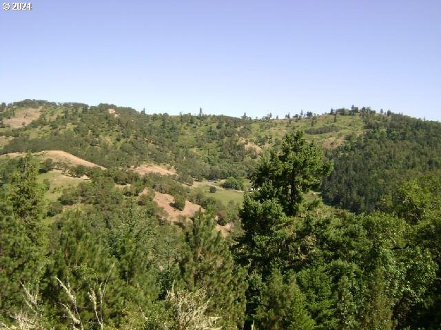 0 NEWTON CREEK RD