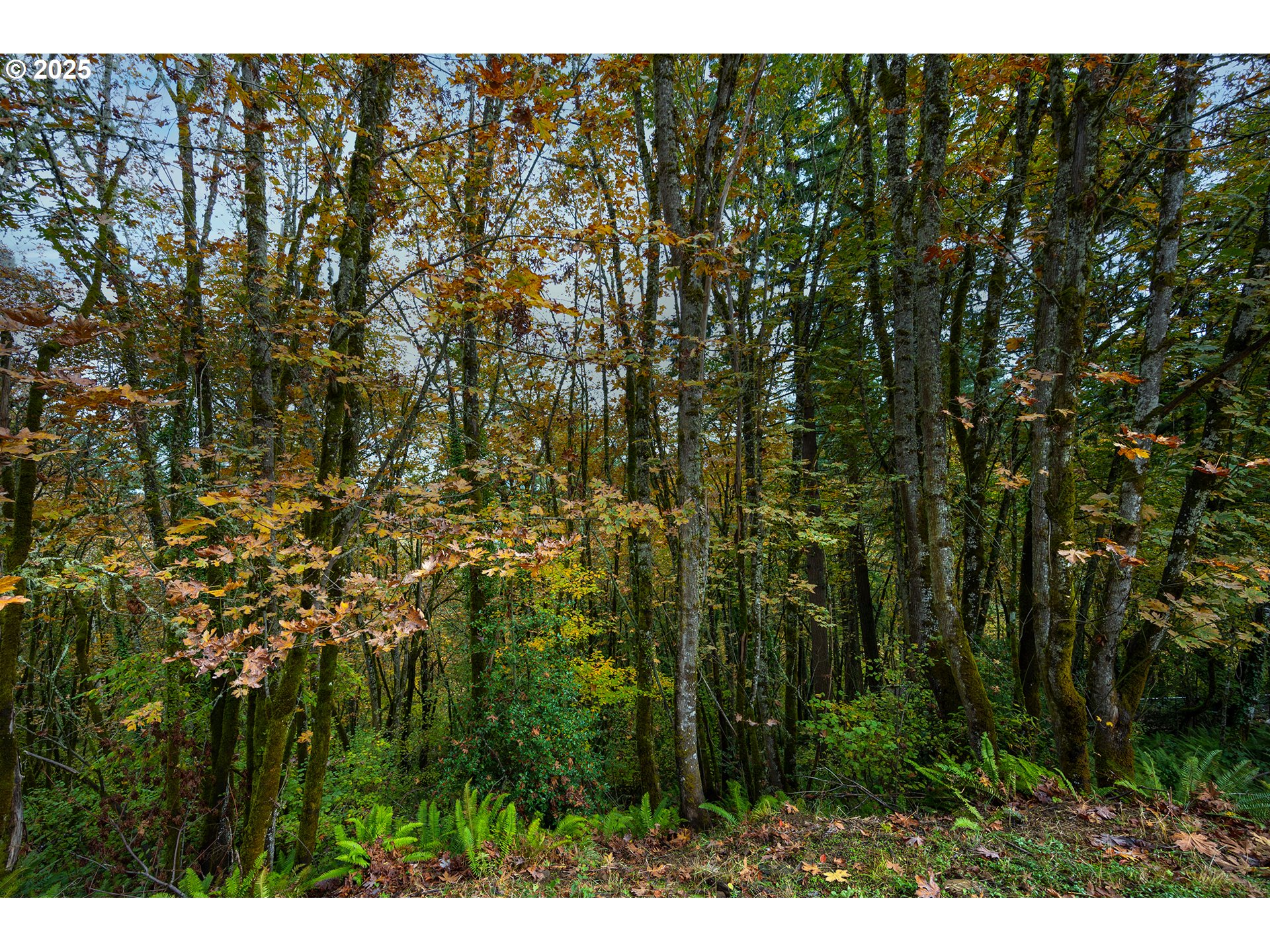 2825 2819 Capital DR 18, 19