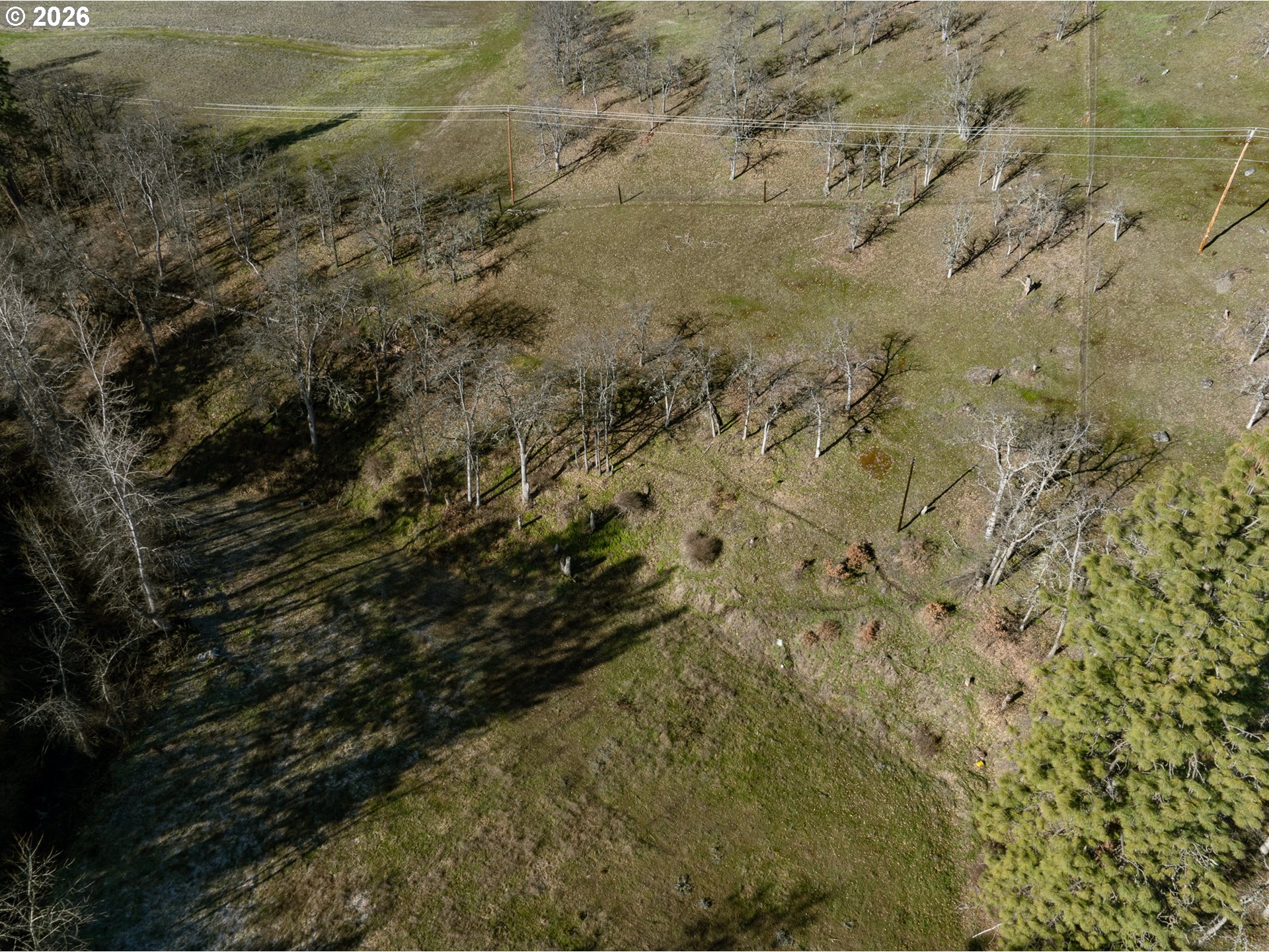 3673 BROWNS CREEK RD