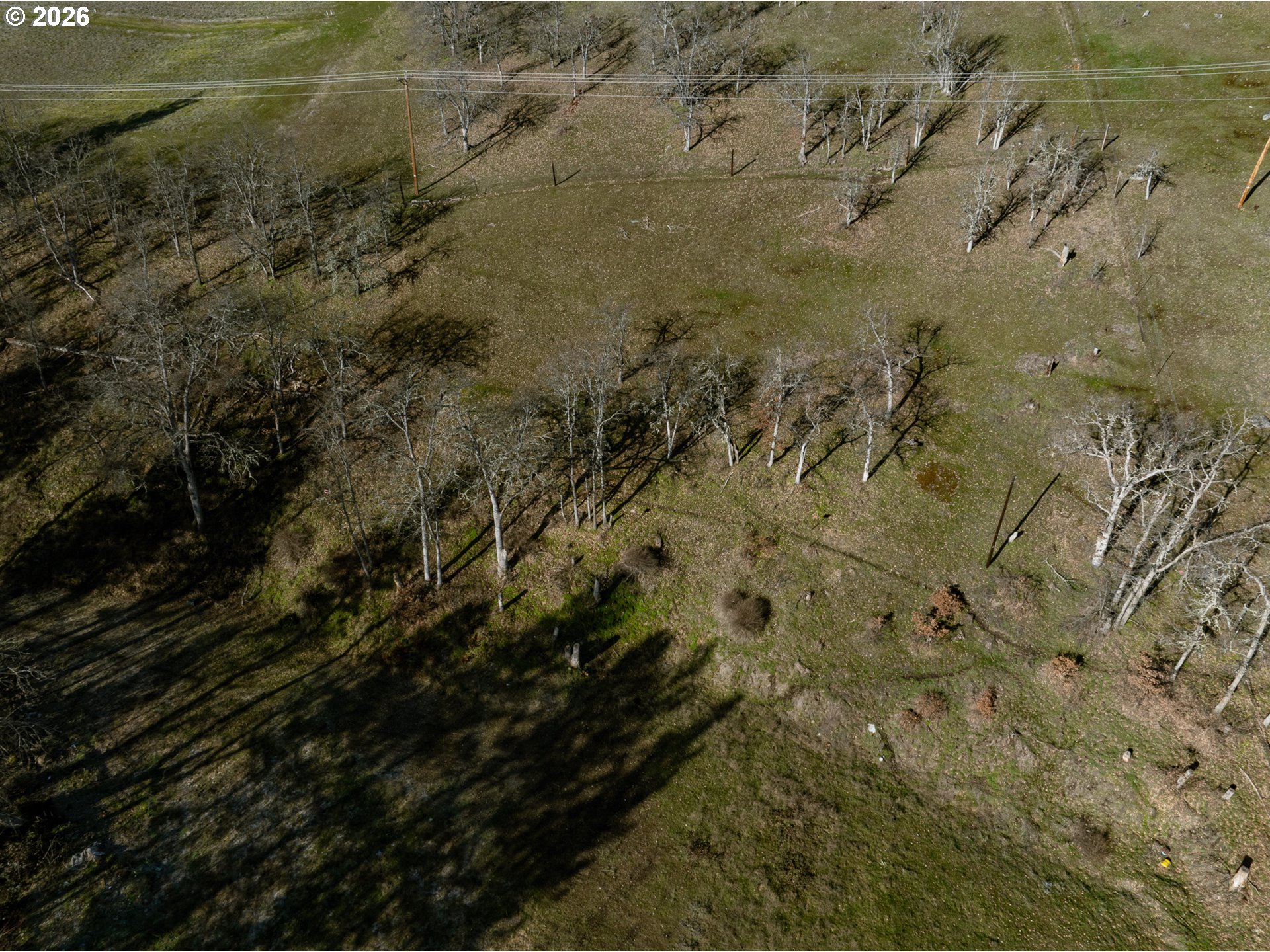 3673 BROWNS CREEK RD