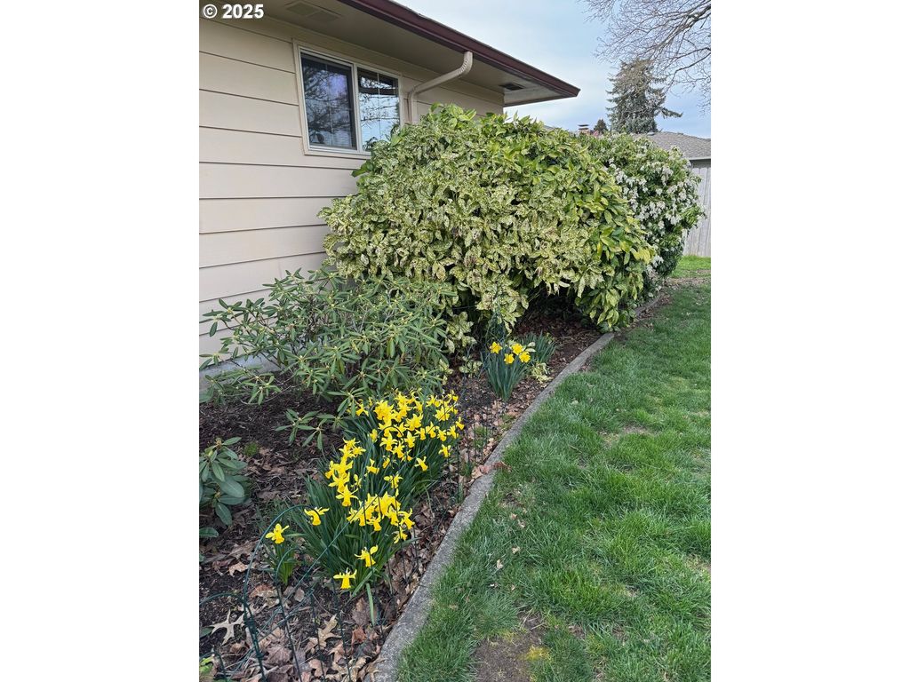 listing image 47