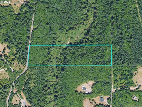 0 NE Elliott RD 58 Yacolt WA 98675