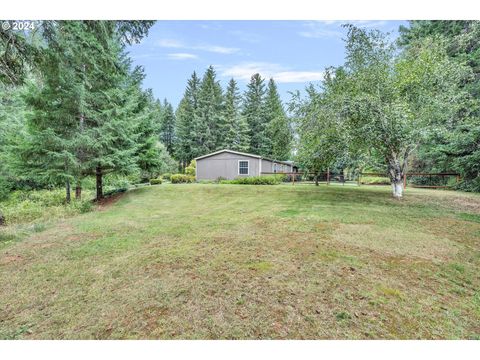 A home in White Salmon