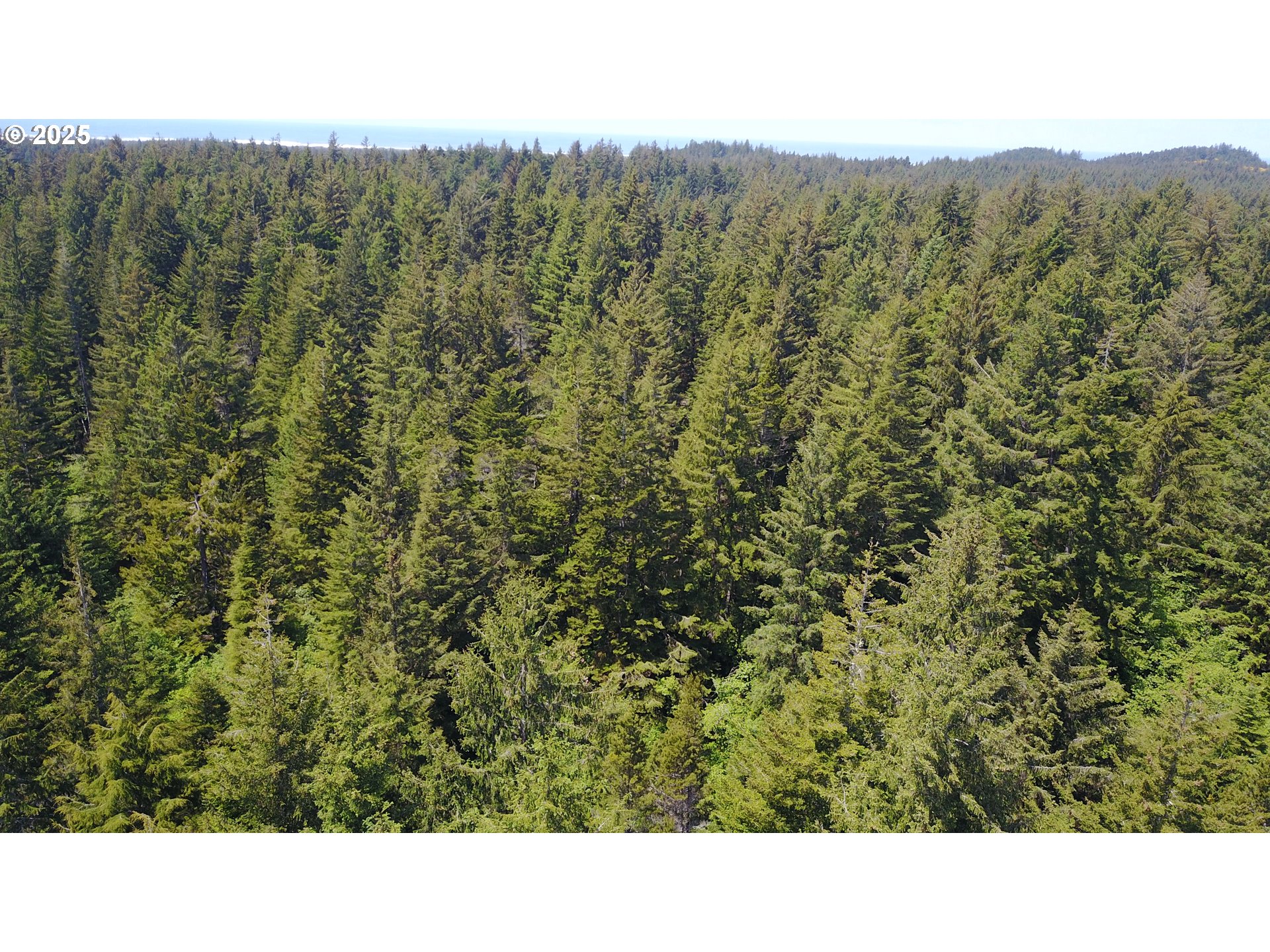 ALDER DR TL 03300 DR