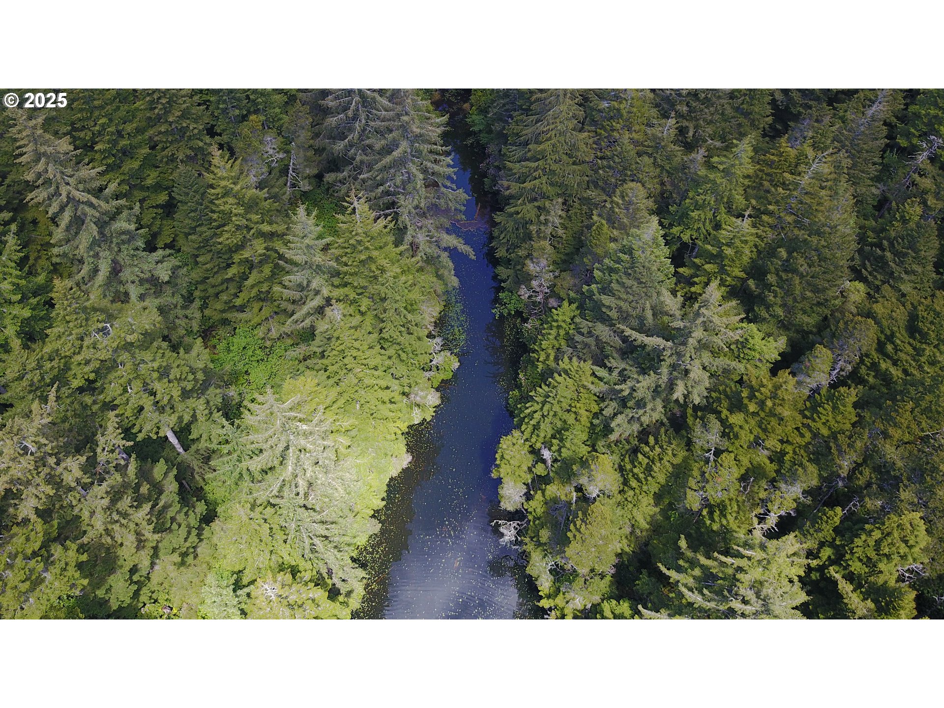 ALDER DR TL 03300 DR