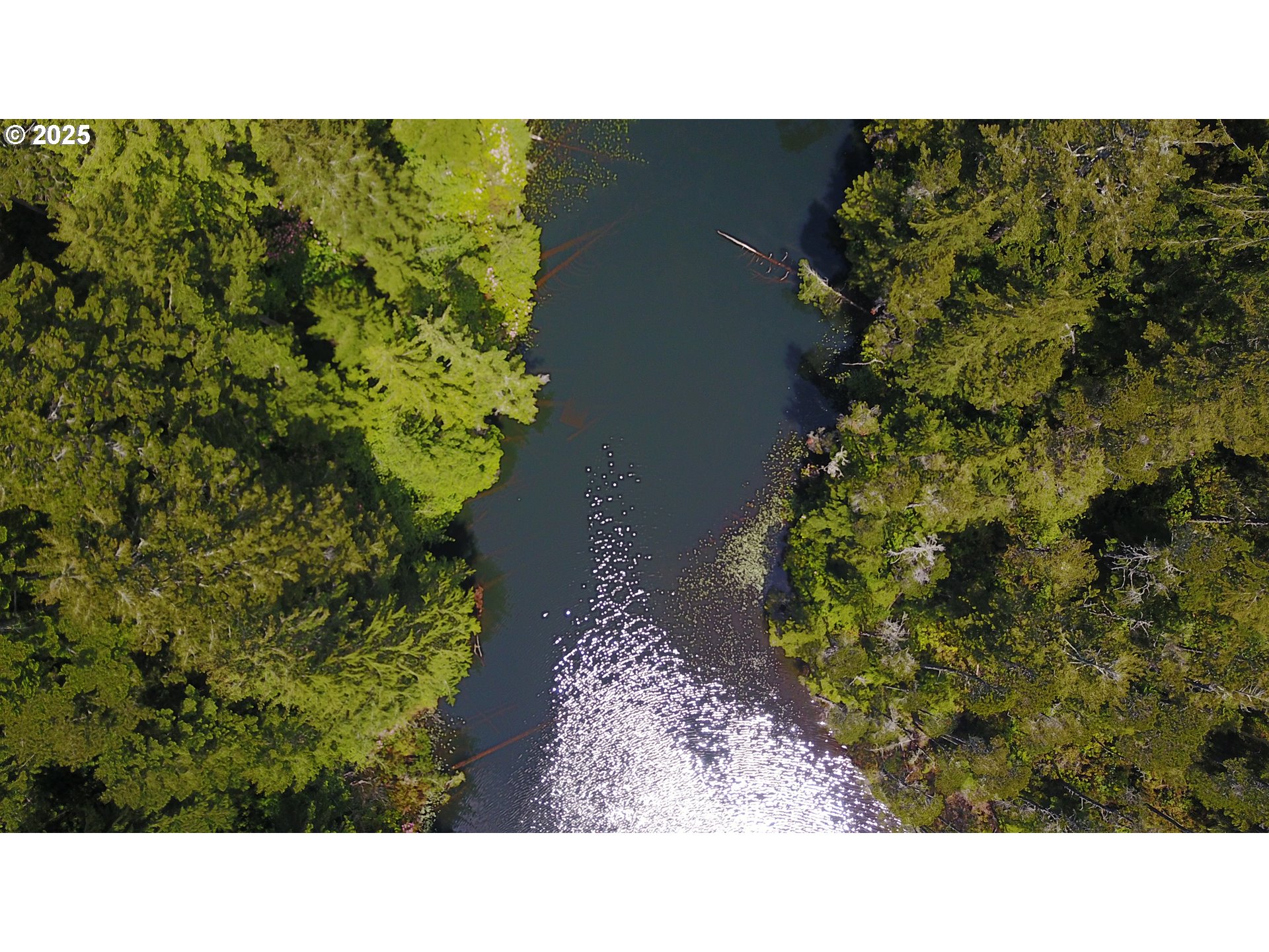 ALDER DR TL 03300 DR