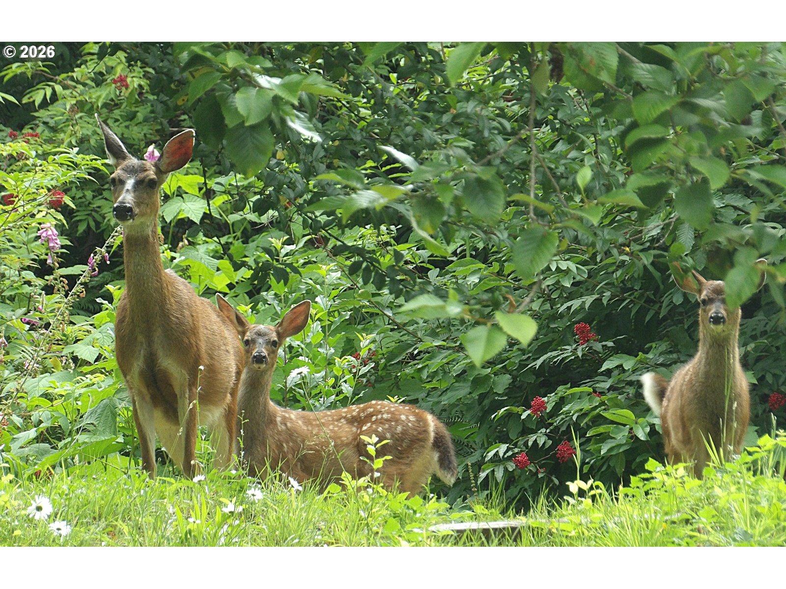 9514 S SCHOONER CREEK RD