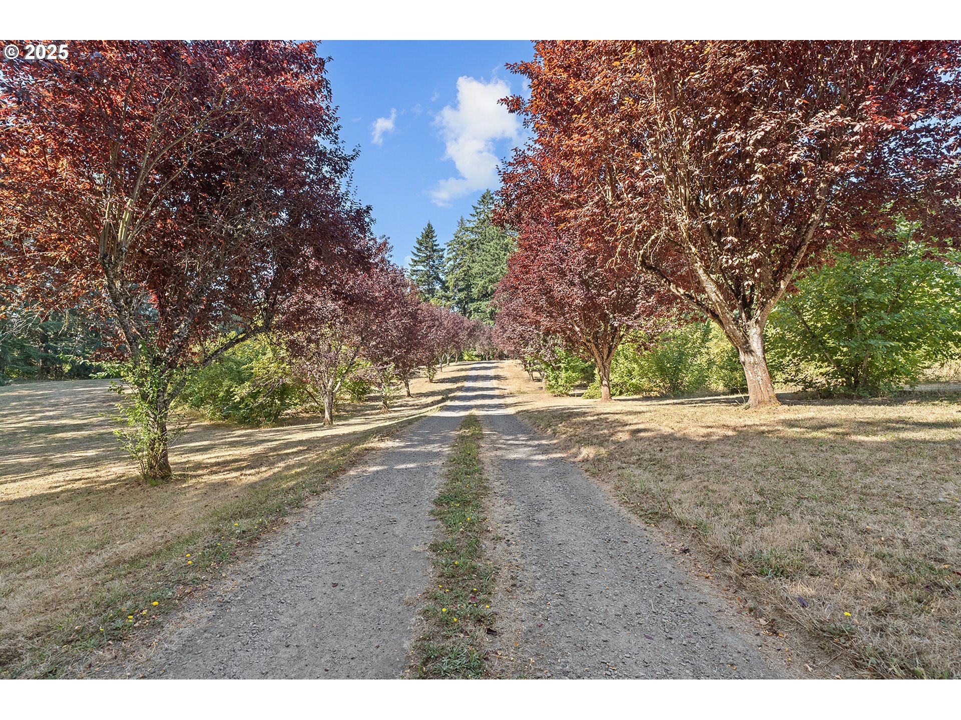 33150 NE WILSONVILLE RD