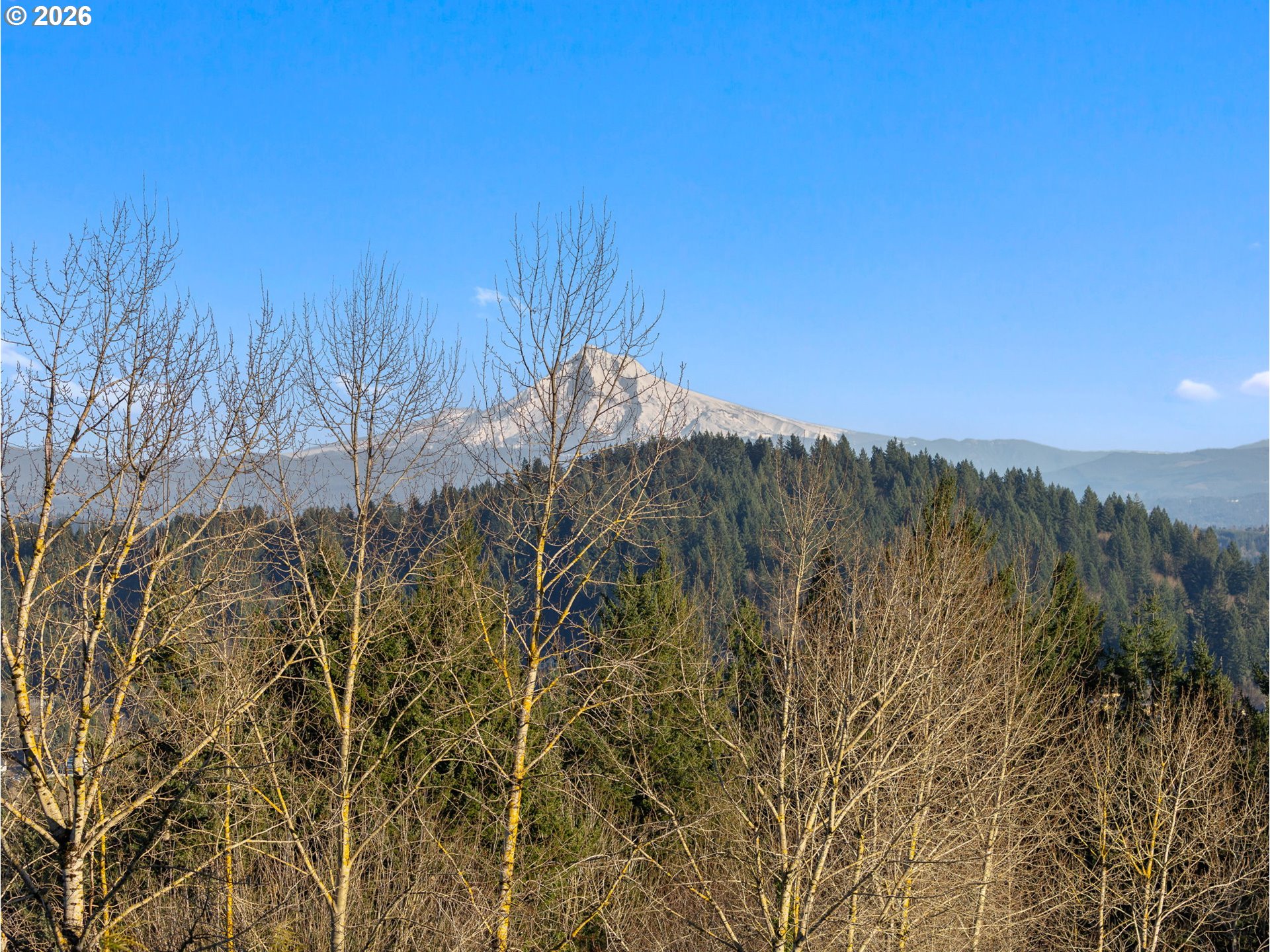 10180 SE CRESTHILL RD