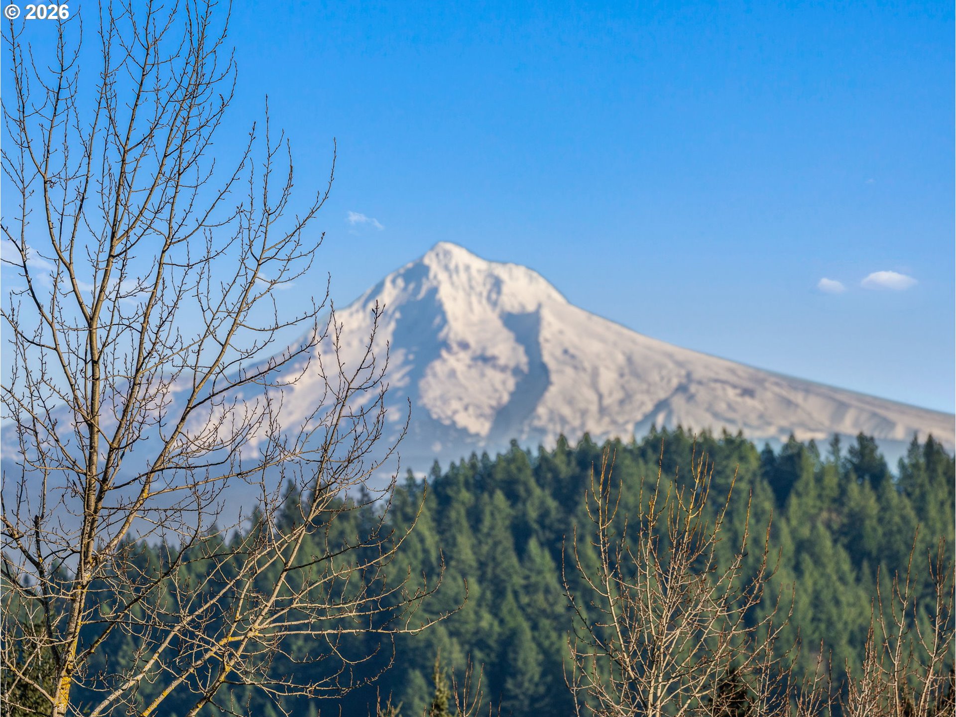 10180 SE CRESTHILL RD