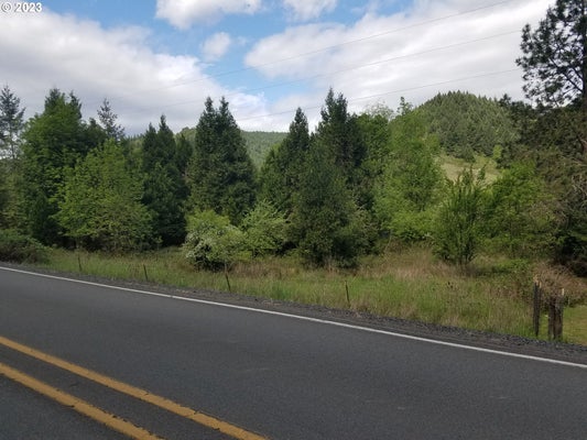 0 WILLIS CREEK RD, WINSTON, OR 97496 - Image b6ae80391f9ec730b41b8a7fc0715e71/536216342