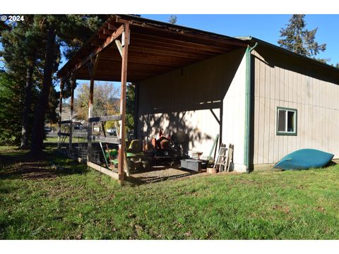 A home in Tenmile