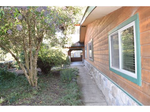 A home in Tenmile