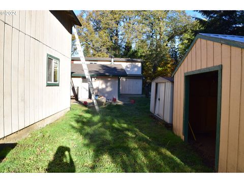 A home in Tenmile