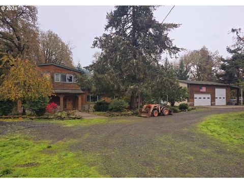 A home in Tenmile