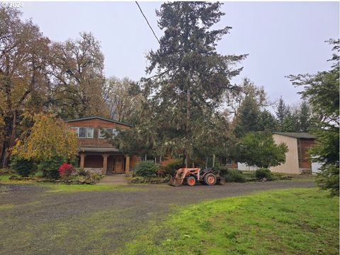 A home in Tenmile