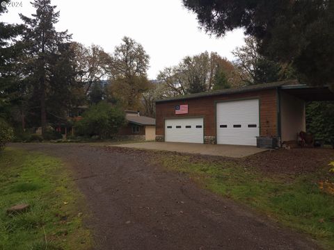 A home in Tenmile