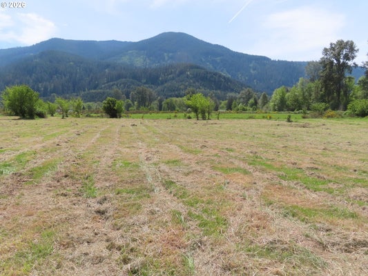 295 RIVER RANCH RD, RANDLE, WA 98377 - Image b741ec03ede81e417dbe55bdd9eaf716/3572575457
